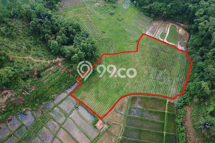 Tanah Kavling di Bojong Dijual dengan Luas 3669m2 Tanah Kavling di Bojong Dijual dengan Luas 3669m2