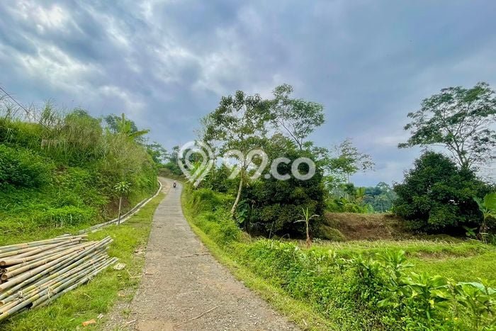 Lahan Kosong Dijual di Darangdan, Purwakarta, Luas 1700m2 Area Strategis Lahan Kosong Dijual di Darangdan, Purwakarta, Luas 1700m2 Area Strategis