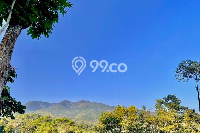 Kavling Tanah Dijual di Sumedang Selatan Sumedang Spesifikasi 1165m2 Kavling Tanah Dijual di Sumedang Selatan Sumedang Spesifikasi 1165m2