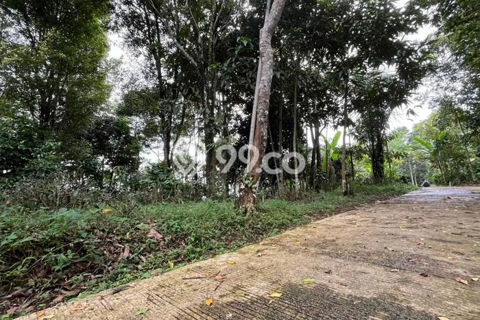 Lahan Kosong Dijual di Bojong, Purwakarta, Luas 2400m2 Area Strategis Lahan Kosong Dijual di Bojong, Purwakarta, Luas 2400m2 Area Strategis