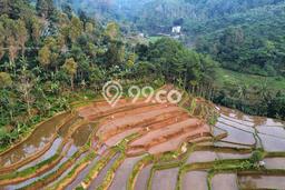 Untuk Dijual Tanah 4000m2 di Cikalong Wetan, Bandung Untuk Dijual Tanah 4000m2 di Cikalong Wetan, Bandung