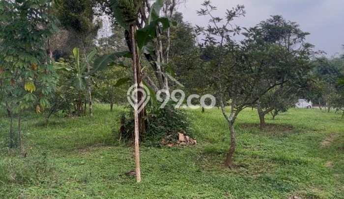Tanah di Kiarapedes, Purwakarta Luas 1500m2 Dijual Segera Tanah di Kiarapedes, Purwakarta Luas 1500m2 Dijual Segera