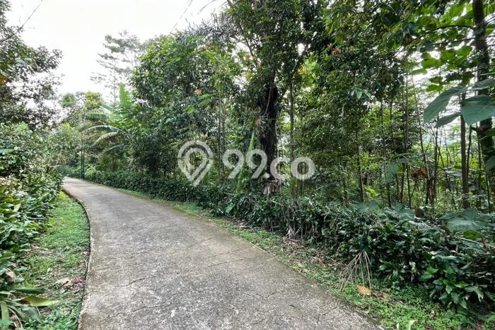 Tanah Dijual Lokasi Wanayasa Purwakarta SHM Tanah Dijual Lokasi Wanayasa Purwakarta SHM