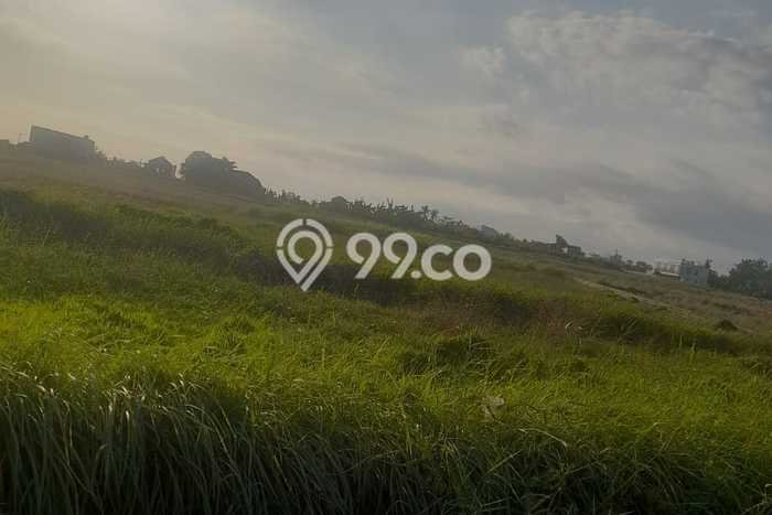 Paling Dicari! Kavling Tanah Disewakan di Kedungu, Tabanan Paling Dicari! Kavling Tanah Disewakan di Kedungu, Tabanan