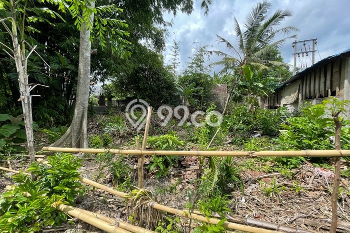 Tanah Siap Pakai Disewakan di Umalas, Badung, Luas 1100m2 Tanah Siap Pakai Disewakan di Umalas, Badung, Luas 1100m2