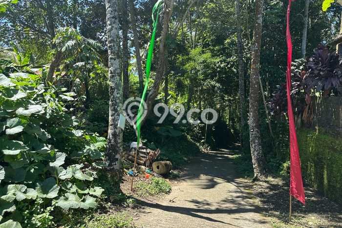 Tanah Kavling untuk Disewa di Payangan Gianyar 935m2 Tanah Kavling untuk Disewa di Payangan Gianyar 935m2