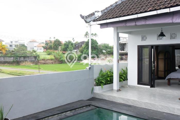 Sewa Rumah Murah di Canggu Badung dengan 2 Kamar Tidur Sewa Rumah Murah di Canggu Badung dengan 2 Kamar Tidur