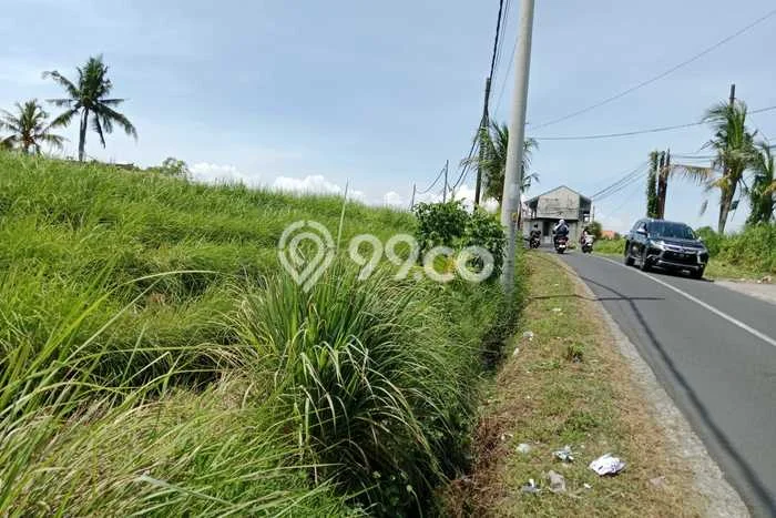 Kavling Tanah Lokasi Strategis di Kedungu, Tabanan Disewakan 1200m2 Kavling Tanah Lokasi Strategis di Kedungu, Tabanan Disewakan 1200m2