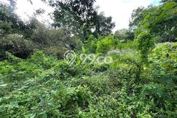 Tanah di Dalung, Badung Luas 170m2 Dijual Segera Tanah di Dalung, Badung Luas 170m2 Dijual Segera