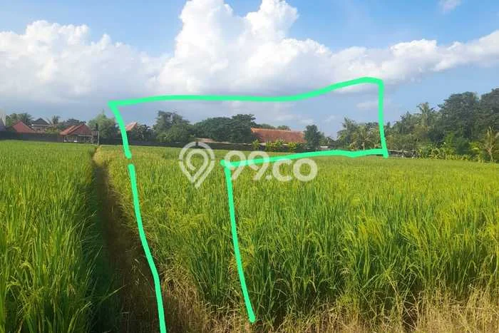 Lahan Disewakan di Kedungu, Tabanan, Luas 1000m2 SHM Lahan Disewakan di Kedungu, Tabanan, Luas 1000m2 SHM