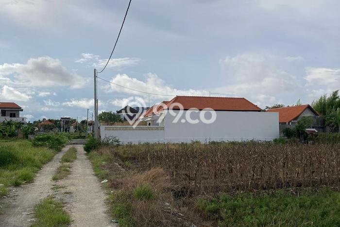 Tanah Disewakan Lokasi Badung Seluas 1160m2 Strategis dan Aman Tanah Disewakan Lokasi Badung Seluas 1160m2 Strategis dan Aman