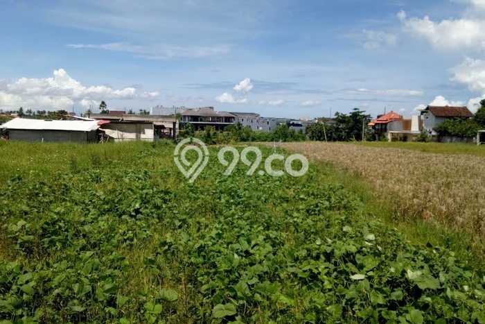 Tanah Disewa di Cemagi Strategis dan Memiliki Luas 500m2 Tanah Disewa di Cemagi Strategis dan Memiliki Luas 500m2