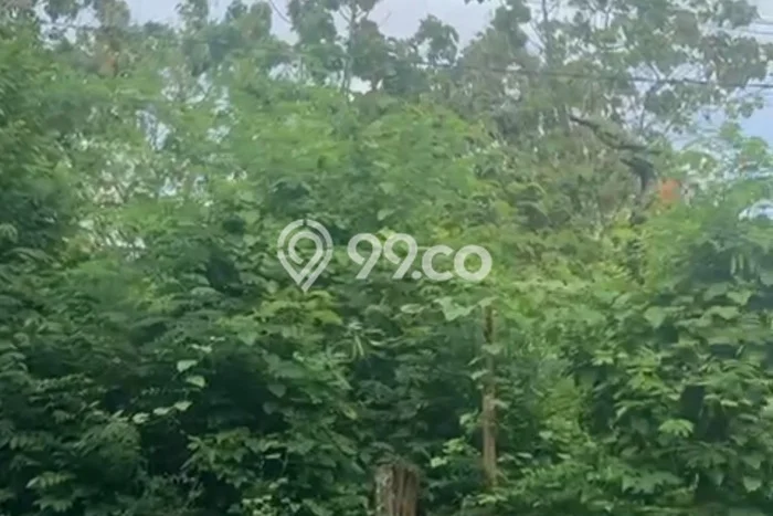 Kavling Tanah untuk Disewa di Jimbaran Lahan Luas 1500m2 Kavling Tanah untuk Disewa di Jimbaran Lahan Luas 1500m2