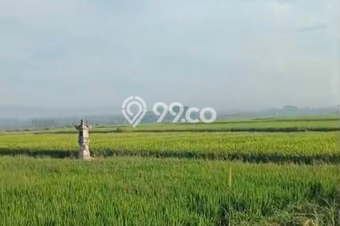 Tanah Dijual Lokasi Kelating, Tabanan Luas 700m2 Legalitas Aman Tanah Dijual Lokasi Kelating, Tabanan Luas 700m2 Legalitas Aman