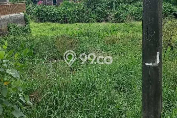 Tanah untuk Disewakan di Dalung Badung SHM Tanah untuk Disewakan di Dalung Badung SHM