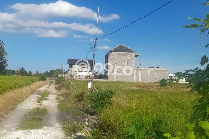 Lahan Disewakan di Kedungu, Tabanan, Luas 1000m2 SHM Lahan Disewakan di Kedungu, Tabanan, Luas 1000m2 SHM