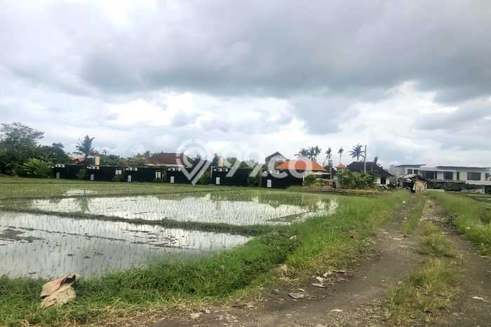 Kavling Tanah Lokasi Strategis di Cemagi, Badung Disewakan 1000m2 Kavling Tanah Lokasi Strategis di Cemagi, Badung Disewakan 1000m2
