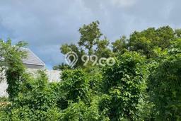 Tanah Kavling Dijual di Badung dengan Spesifikasi 338m2 Tanah Kavling Dijual di Badung dengan Spesifikasi 338m2