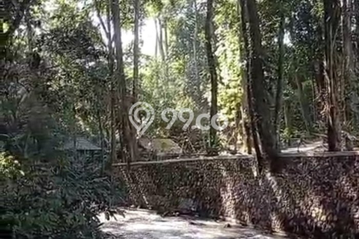 Tanah Disewa Strategis di Tabanan Luas 1400m2 Tanah Disewa Strategis di Tabanan Luas 1400m2