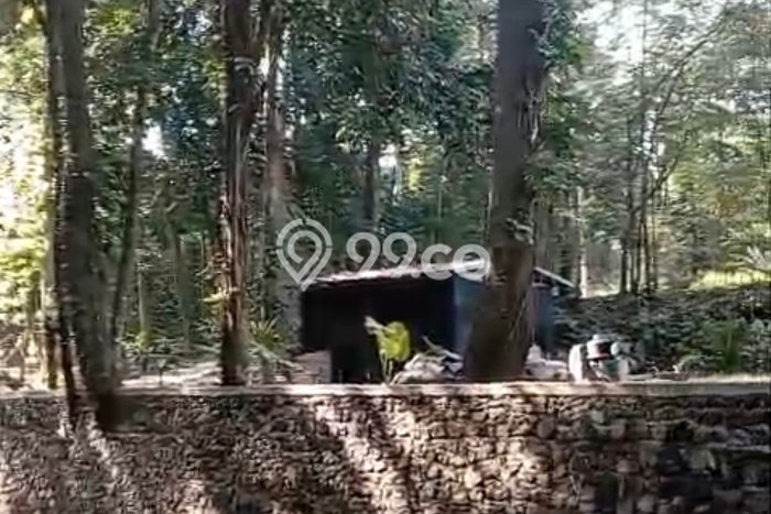 Tanah Disewa Strategis di Tabanan Luas 1400m2 Tanah Disewa Strategis di Tabanan Luas 1400m2