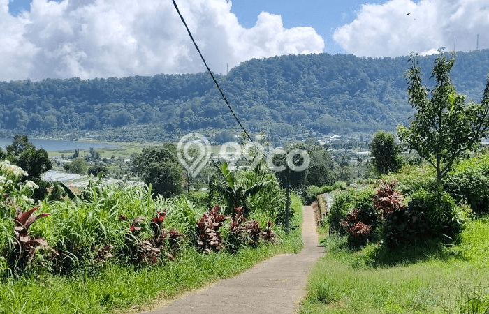 Tanah Kavling di Sukasada Dijual dengan Luas 15100m2 Tanah Kavling di Sukasada Dijual dengan Luas 15100m2