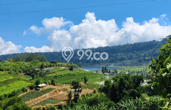 Tanah Kavling di Sukasada Dijual dengan Luas 15100m2 Tanah Kavling di Sukasada Dijual dengan Luas 15100m2