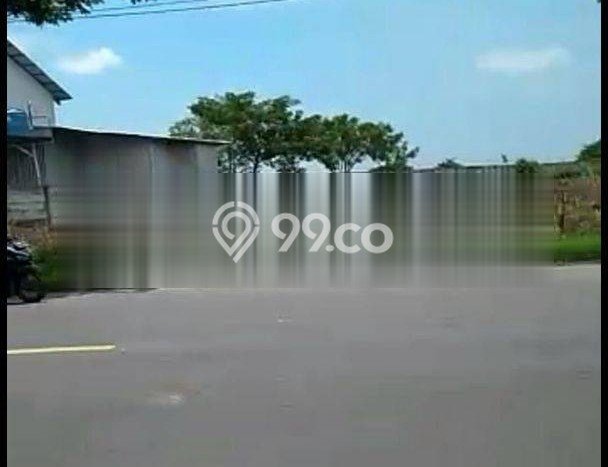 Lahan Strategis di Widang Dijual dengan Luas 40000m2 Lahan Strategis di Widang Dijual dengan Luas 40000m2