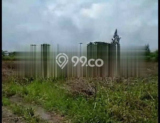 Lahan Strategis di Widang Dijual dengan Luas 40000m2 Lahan Strategis di Widang Dijual dengan Luas 40000m2
