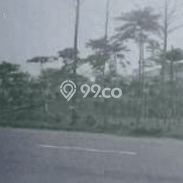 Tanah Strategis Dijual di Widang Tuban 22220m2 Tanah Strategis Dijual di Widang Tuban 22220m2