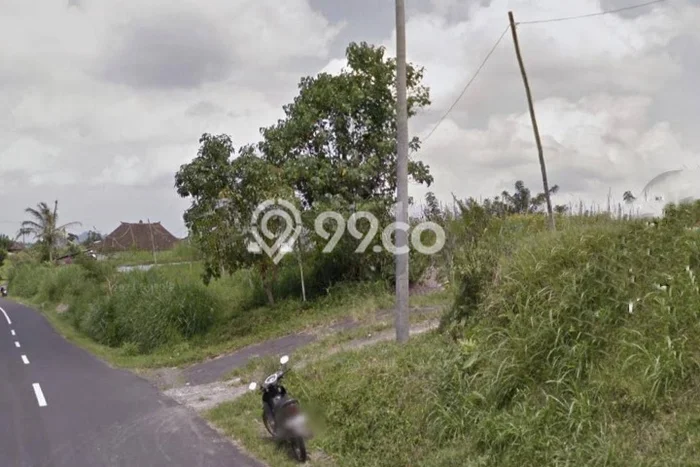 Jarang Ada! Tanah di Baturiti Punya Luas 69000m2 SHM Jarang Ada! Tanah di Baturiti Punya Luas 69000m2 SHM