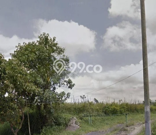 Jarang Ada! Tanah di Baturiti Punya Luas 69000m2 SHM Jarang Ada! Tanah di Baturiti Punya Luas 69000m2 SHM