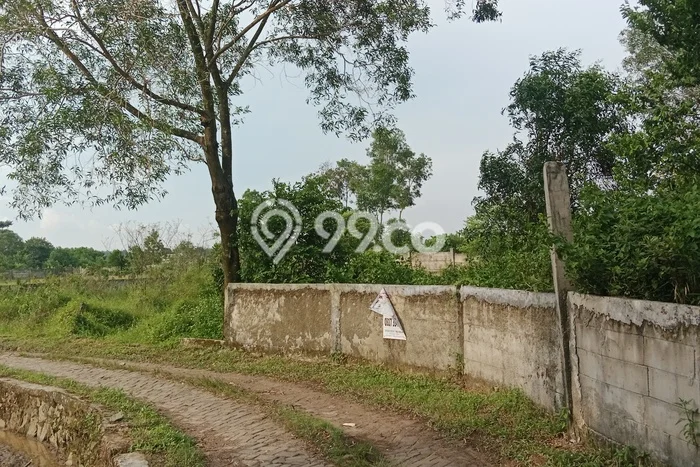 Tanah Kavling Dijual di Tangerang dengan Spesifikasi 981m2 Tanah Kavling Dijual di Tangerang dengan Spesifikasi 981m2