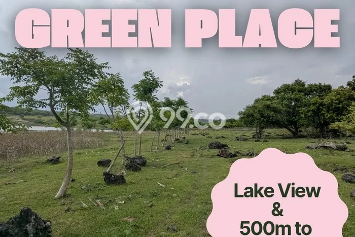 Tanah Kavling untuk Dijual di Rote Barat Daya Rote Ndao 5000m2 Tanah Kavling untuk Dijual di Rote Barat Daya Rote Ndao 5000m2