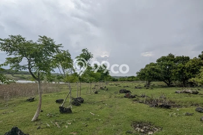 Tanah Kavling untuk Dijual di Rote Barat Daya Rote Ndao 5000m2 Tanah Kavling untuk Dijual di Rote Barat Daya Rote Ndao 5000m2