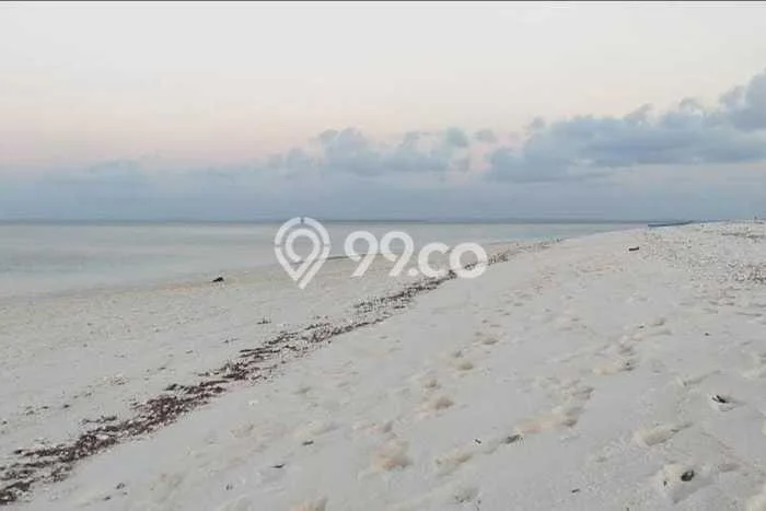 Tanah Strategis Dijual di Rote Barat Laut Rote Ndao 5040m2 Tanah Strategis Dijual di Rote Barat Laut Rote Ndao 5040m2