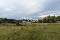 Lahan Dijual Lokasi Rote Barat Laut, Rote Ndao dengan Luas Tanah 5000m2 dan Status SHM Lahan Dijual Lokasi Rote Barat Laut, Rote Ndao dengan Luas Tanah 5000m2 dan Status SHM