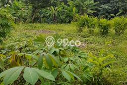 Kavling Tanah untuk Dijual di Ciater, Tangerang, Luas 3550m2 Kavling Tanah untuk Dijual di Ciater, Tangerang, Luas 3550m2
