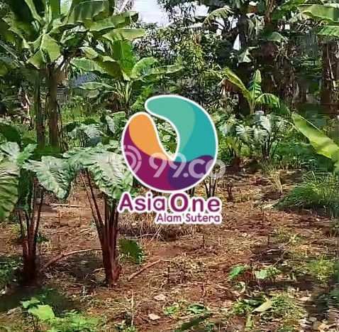 Dijual Tanah di Gunung Sindur Bogor Luas 900m2 AJB Dijual Tanah di Gunung Sindur Bogor Luas 900m2 AJB
