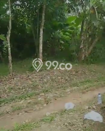 Lahan Kosong Dijual di Lebak dengan Area 20000m2 Lahan Kosong Dijual di Lebak dengan Area 20000m2