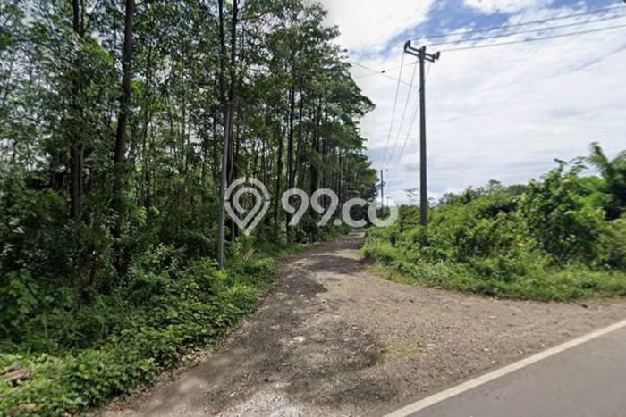 Tanah Komersial Dijual di Cimarga Lebak 30000m2 Tanah Komersial Dijual di Cimarga Lebak 30000m2