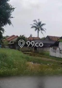 Jarang Ada! Tanah di Rajeg Punya Luas 200000m2 SHM Jarang Ada! Tanah di Rajeg Punya Luas 200000m2 SHM