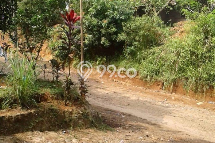 Tanah Kavling untuk Dijual di Curugbitung Lebak 50000m2 Tanah Kavling untuk Dijual di Curugbitung Lebak 50000m2