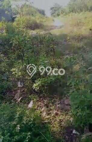 Tanah di Rangkasbitung, Lebak Luas 250000m2 Dijual Segera Tanah di Rangkasbitung, Lebak Luas 250000m2 Dijual Segera