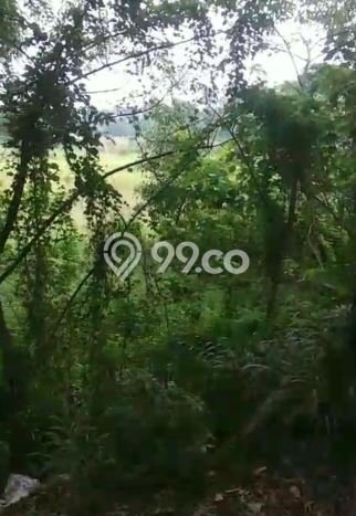 Tanah Dijual di Tangerang Seluas 124000m2 Strategis Tanah Dijual di Tangerang Seluas 124000m2 Strategis