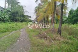 Jarang Ada! Tanah di Balaraja Punya Luas 316000m2 - Jarang Ada! Tanah di Balaraja Punya Luas 316000m2 -