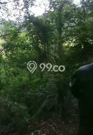 Tanah Dijual di Tangerang Seluas 124000m2 Strategis Tanah Dijual di Tangerang Seluas 124000m2 Strategis