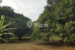 Tanah Kavling Dijual di Tangerang dengan Spesifikasi 7512m2 Tanah Kavling Dijual di Tangerang dengan Spesifikasi 7512m2