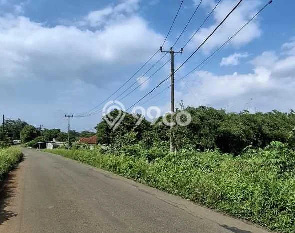 Tanah di Maja, Lebak Luas 57000m2 Dijual Segera Tanah di Maja, Lebak Luas 57000m2 Dijual Segera