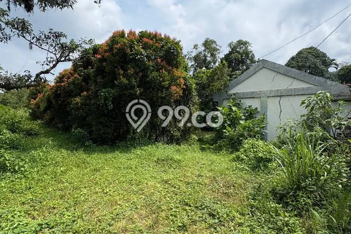 Tanah Komersial Dijual di Kemang Bogor 5026m2 Tanah Komersial Dijual di Kemang Bogor 5026m2