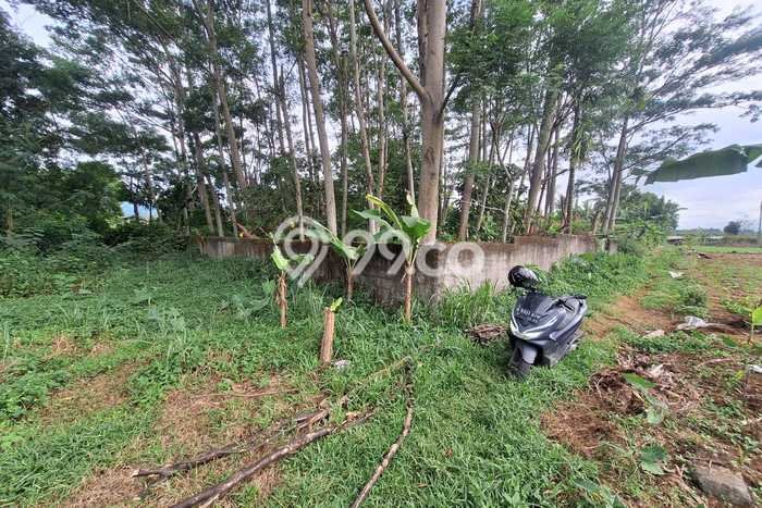 Kavling Tanah Dijual di Sukaraja, Bogor, Luas 984m2 Area Strategis Kavling Tanah Dijual di Sukaraja, Bogor, Luas 984m2 Area Strategis